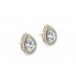 18k Halo Studs Earrings							